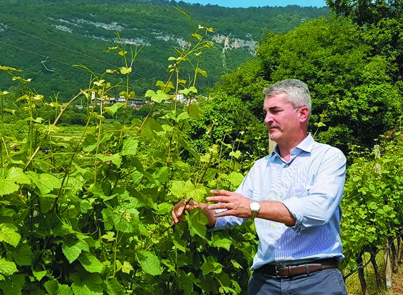 Maestri dell’eccellenza: Cavit cura la vigna grazie a PICA