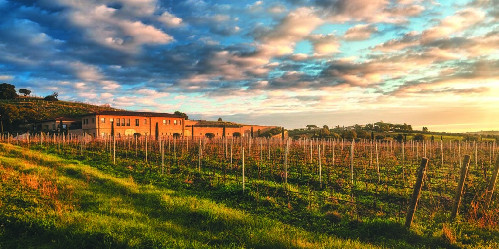 Maestri dell’eccellenza: per Monteverro la biodiversità è un valore imprescindibile