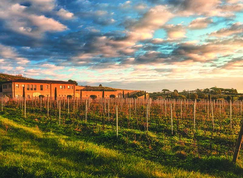 Maestri dell’eccellenza: per Monteverro la biodiversità è un valore imprescindibile