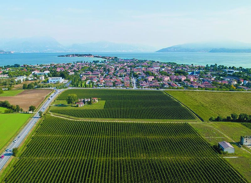 Maestri dell’eccellenza: Tommasi presenta il Rosé e la Riserva Le Fornaci
