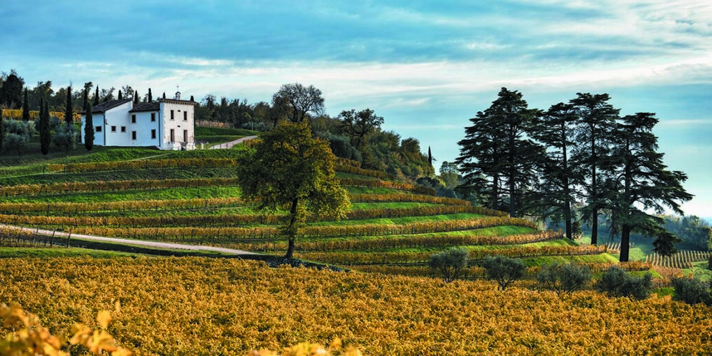 Maestri dell’eccellenza: Bertani si rinnova grazie al progetto Cru