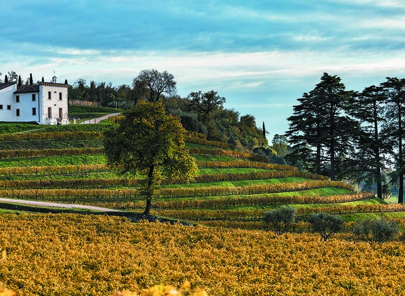 Maestri dell’eccellenza: Bertani si rinnova grazie al progetto Cru