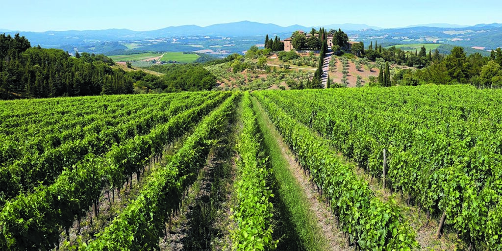 Maestri dell’eccellenza: per Marchesi Frescobaldi la fedeltà ai luoghi passa per la sostenibilità
