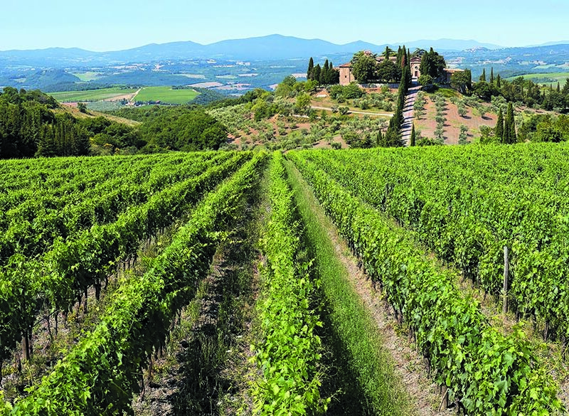 Maestri dell’eccellenza: per Marchesi Frescobaldi la fedeltà ai luoghi passa per la sostenibilità