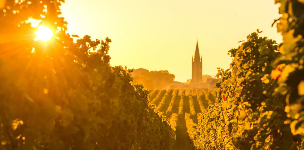 Bordeaux 2020, le prime impressioni en primeur