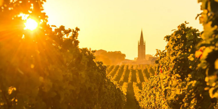 Bordeaux 2020, le prime impressioni en primeur