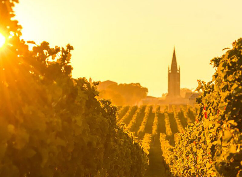 Bordeaux 2020, le prime impressioni en primeur