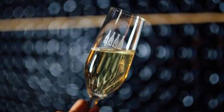 La svolta bio del Cava, ma solo per le bollicine “de Guarda Superior”