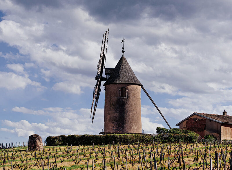Cap Moulin-à-Vent, 13 produttori di Beaujolais insieme nel nome dei terroir