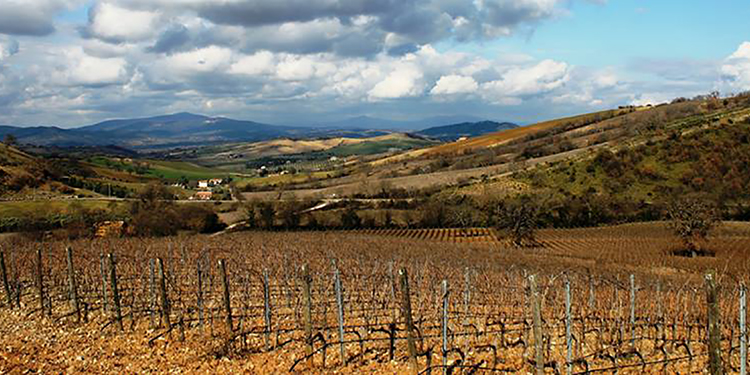 Una ventata di freschezza a Poggio Argentiera