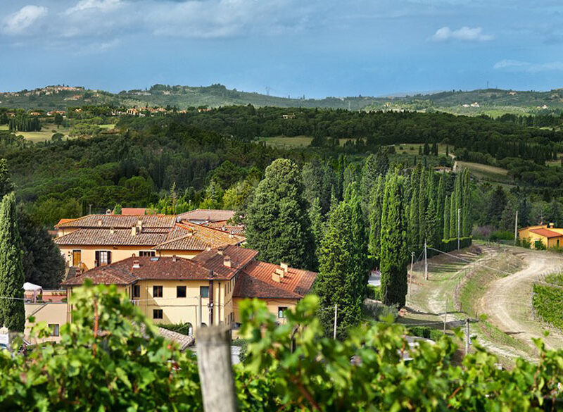 Ruffino, un anno sofferto da cui ripartire più sostenibili