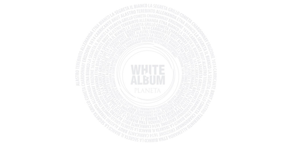 White Album, la nuova winery experience di Planeta