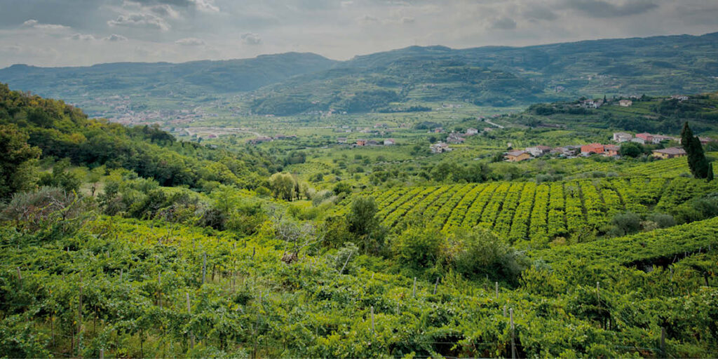 Per i Monti Lessini il futuro è Biodiversity Friend