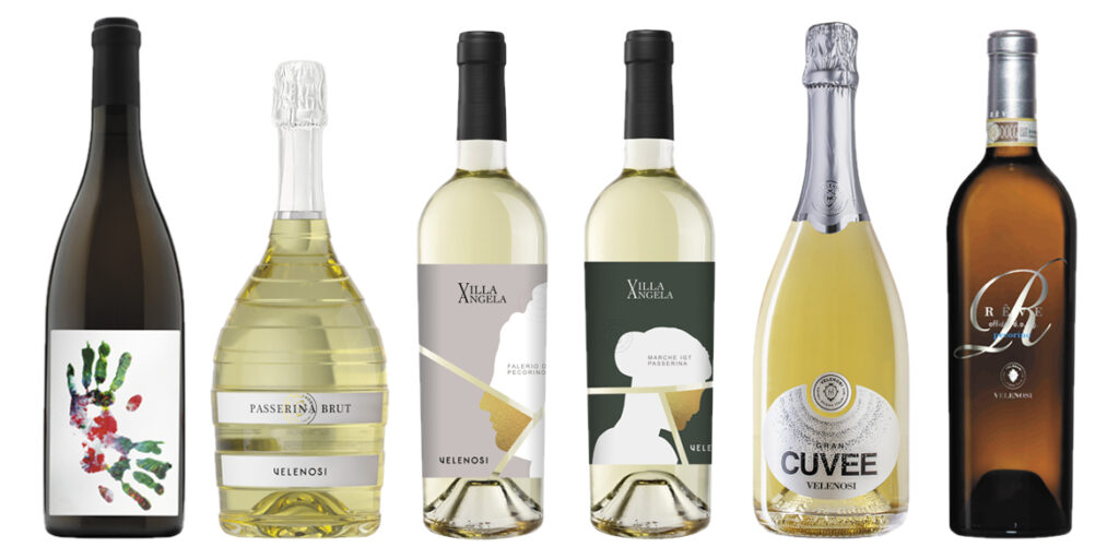 Velenosi: il restyling e la vendemmia solidale del Falerio