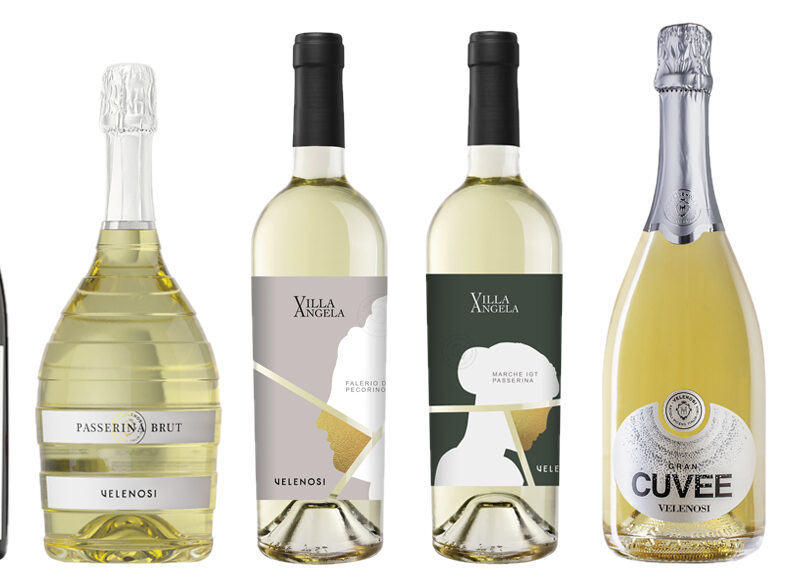 Velenosi: il restyling e la vendemmia solidale del Falerio