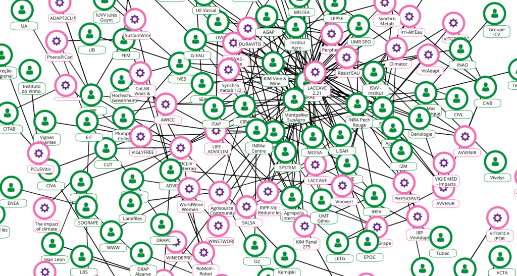 Vino e clima. Vineas, un portale online per saperne di più