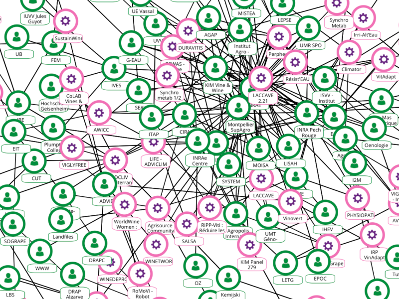 Vino e clima. Vineas, un portale online per saperne di più