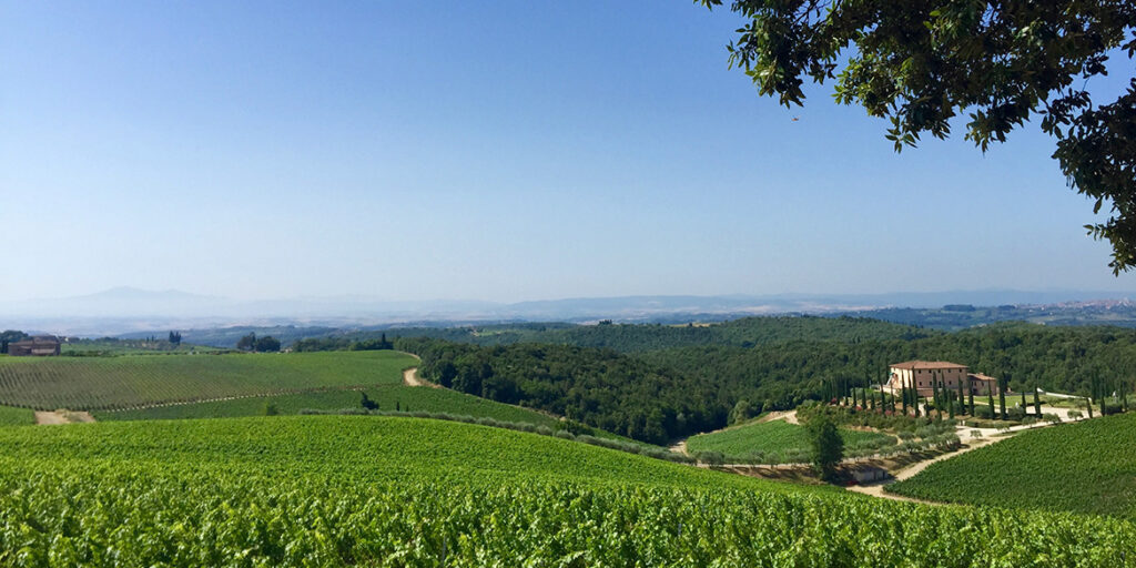 Chianti Classico: i commenti della stampa estera all’approvazione delle Uga