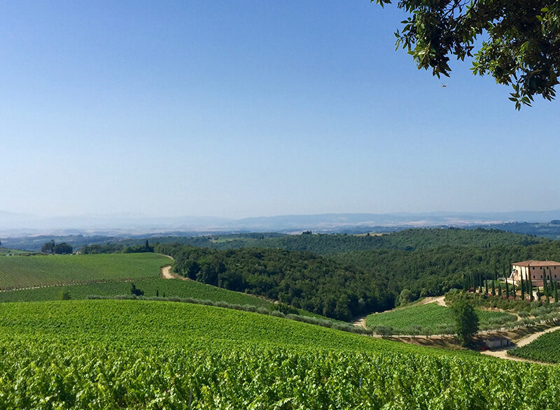 Chianti Classico: i commenti della stampa estera all’approvazione delle Uga