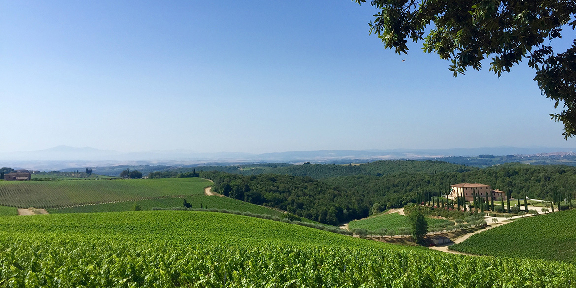 Chianti Classico: i commenti della stampa estera all’approvazione delle Uga