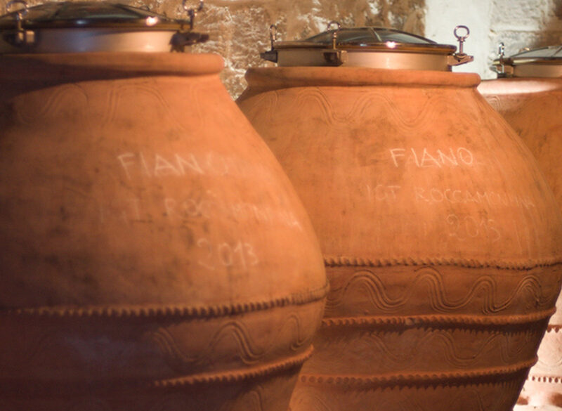Gli interpreti del vino naturale in Campania