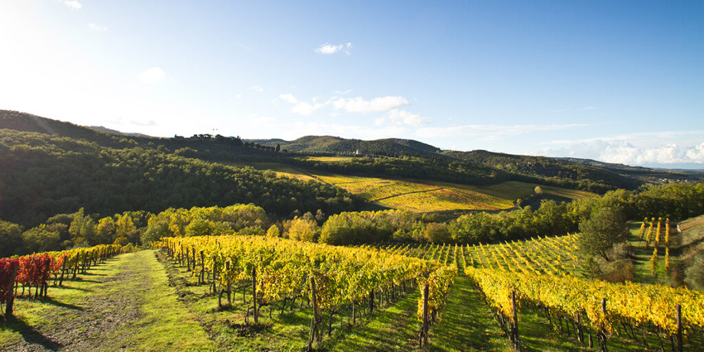 Lamole di Lamole, la finezza del Chianti Classico che nasce in altitudine