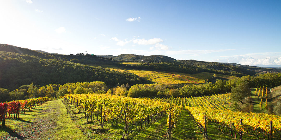 Lamole di Lamole, la finezza del Chianti Classico che nasce in altitudine