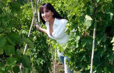 La campagna Wine Funding di Elena Fucci. Si può donare fino al 7 luglio