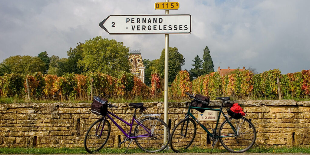 Vendemmia e climate changing: i francesi si preparano. L’ultimo studio in Borgogna