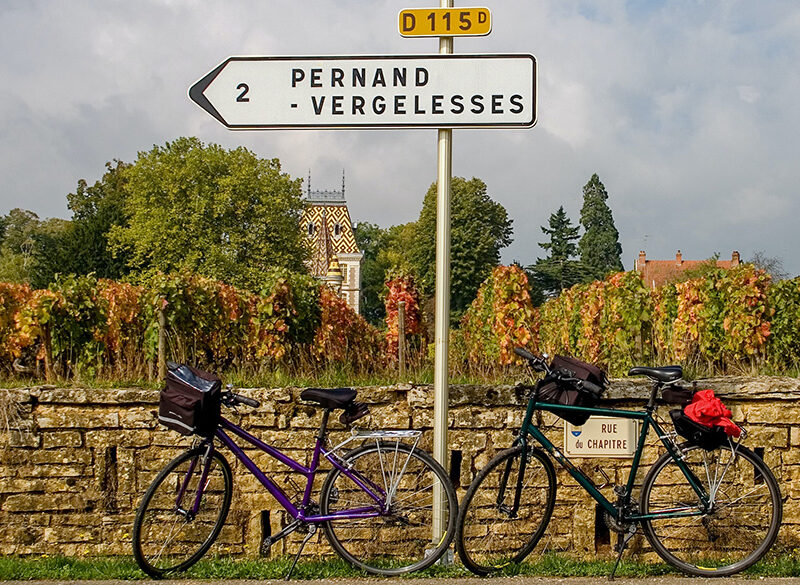 Vendemmia e climate changing: i francesi si preparano. L’ultimo studio in Borgogna