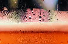 Acqua nella birra: è la fonte di  successo o rovina
