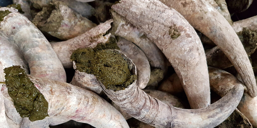 Biologico e biodinamico pari non sono