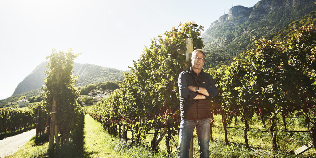 Dietro le quinte con Hans Terzer: il winemaker di San Michele Appiano ci racconta 6 vini in uscita