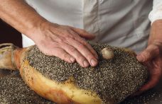 Salumi d’Italia: la tradizione del prosciutto crudo al Centrosud