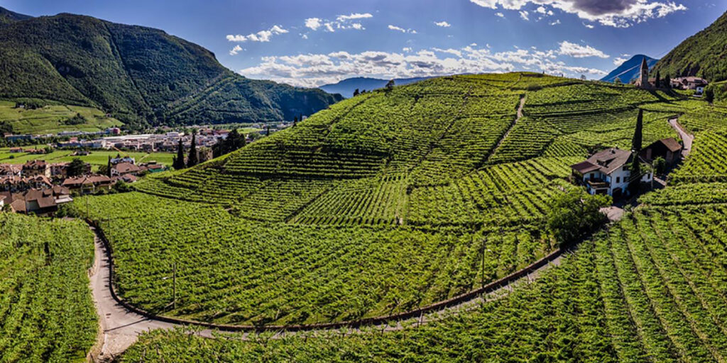 Assaggi d’alta quota. Il tasting dei vignaioli di montagna del Trentino e dell’Alto Adige
