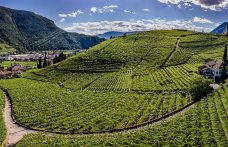 Assaggi d’alta quota. Il tasting dei vignaioli di montagna del Trentino e dell’Alto Adige