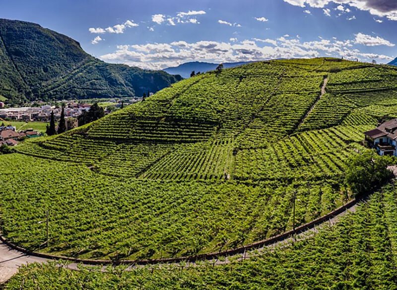 Assaggi d’alta quota. Il tasting dei vignaioli di montagna del Trentino e dell’Alto Adige