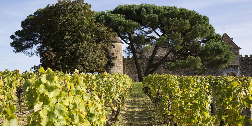 I Cru francesi hanno aperto la strada al mito del terroir