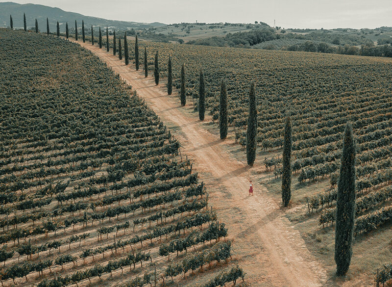 Vineyards, la nuova società che supporta nelle vendite e nelle acquisizioni
