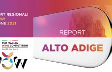 Report WOW! 2021 Alto Adige