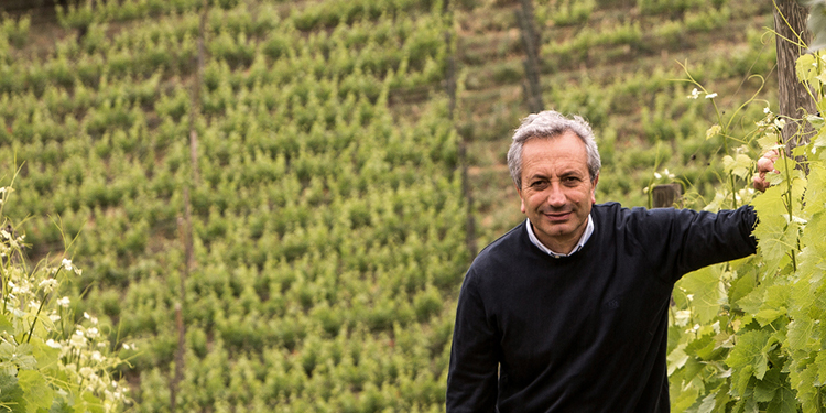 Luigi Moio nuovo presidente dell’Oiv