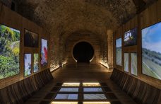 I musei del vino: Tempio del Brunello a Montalcino