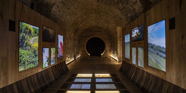 I musei del vino: Tempio del Brunello a Montalcino