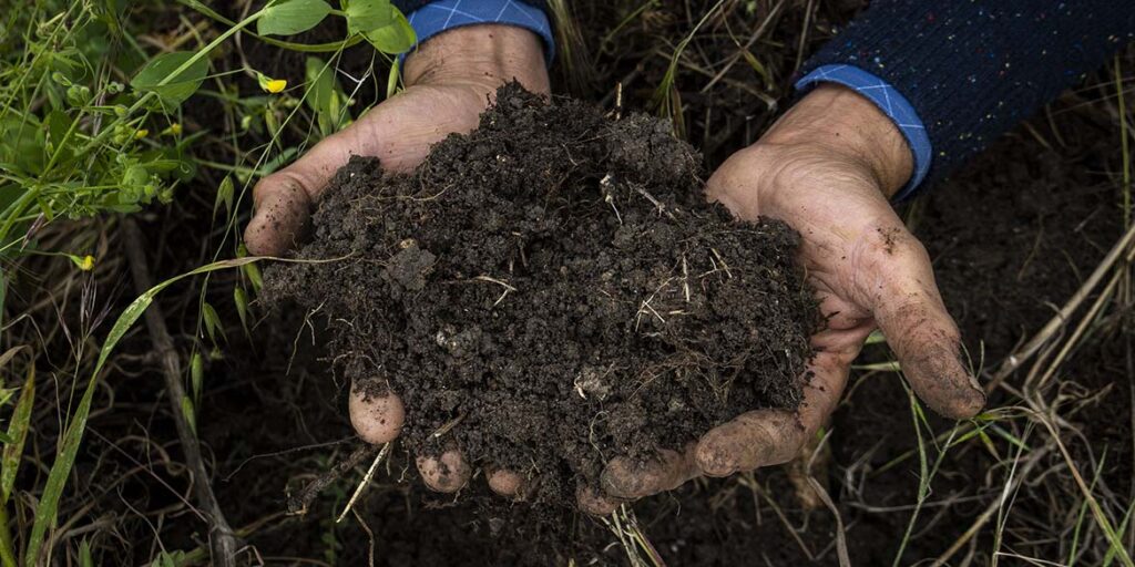 Gli interpreti del vino naturale in Puglia