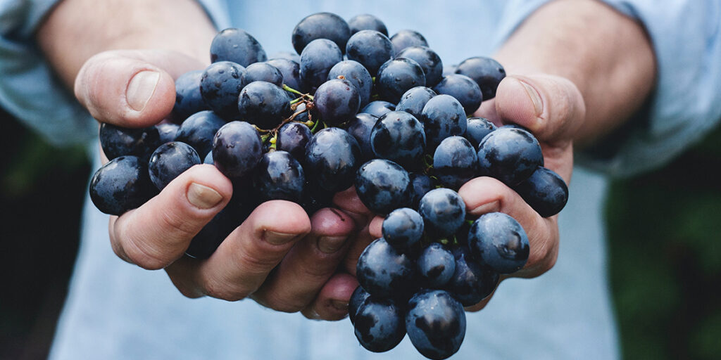 Siamo disposti a pagare di più per un vino biologico?