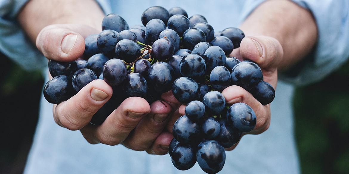 Siamo disposti a pagare di più per un vino biologico?