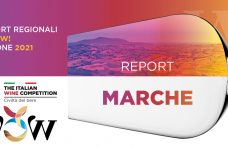 Report WOW! 2021 Marche