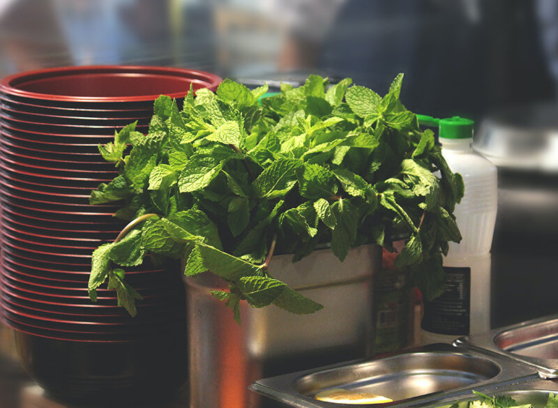 Menta, ingrediente profumatissimo e rinfrescante