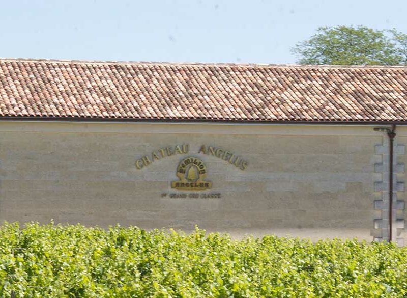 Bordeaux: Château Angélus e Trotte Vieille a processo per la classificazione Saint-Émilion