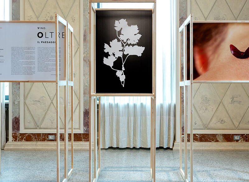 “Vino. Oltre il paesaggio”, la mostra fotografica di Zenato Academy